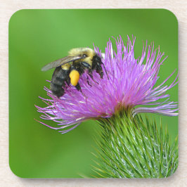 Posavasos Bee And Thistle Coaster