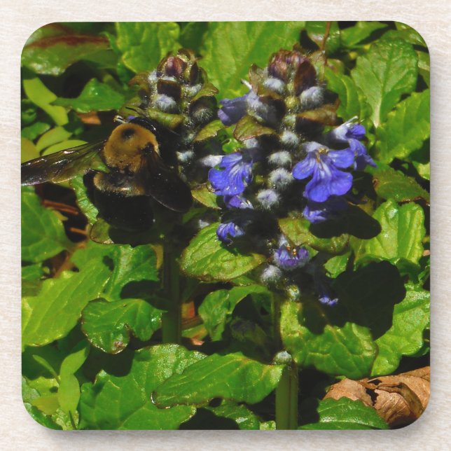 Posavasos Bee de abejas moradas y abeja de burbujas (Frente)