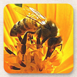 Posavasos Bee on the Flower