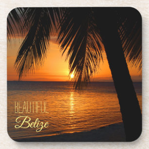 Posavasos Belice Tropical Palm Tree Sunset Fotografía