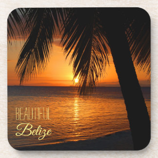 Posavasos Belice Tropical Palm Tree Sunset Fotografía