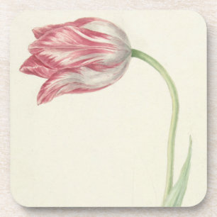 Posavasos Bella Artes Floral Vintage: Tulipán rosa y blanco