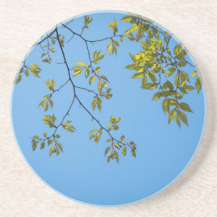 Posavasos bella rama con abrazo de hojas verdes y amarillas