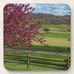 Posavasos Belleza de primavera en Rivercut