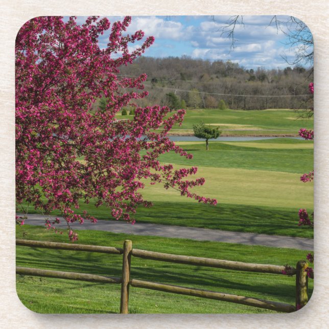 Posavasos Belleza de primavera en Rivercut (Frente)