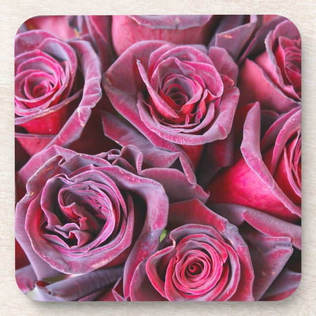Posavasos Belleza de terciopelo (Frente)