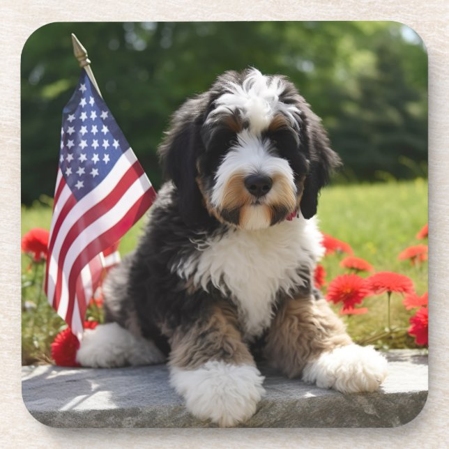 Posavasos Bernedoodle USA Coasters (Frente)