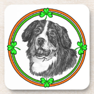 Posavasos Bernese Mtn Dog St Patricks