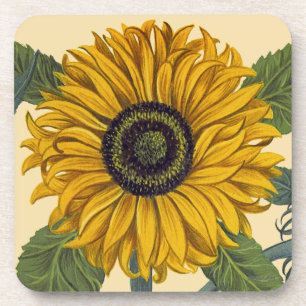 Posavasos Besler: Girasol