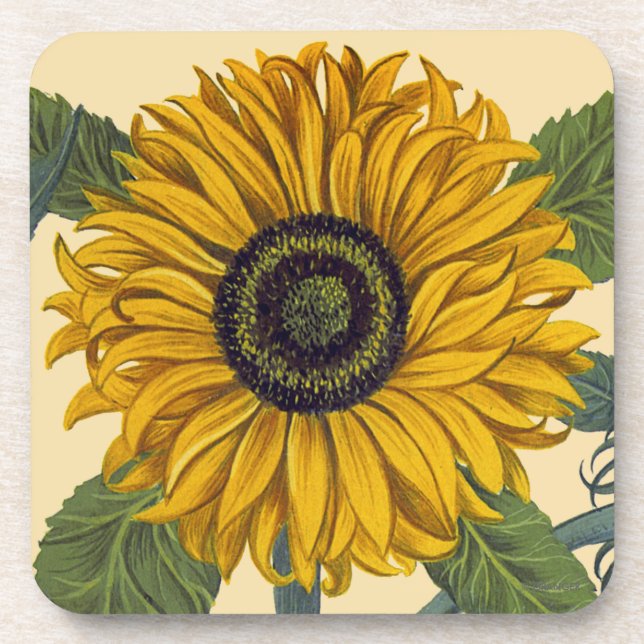 Posavasos Besler: Girasol (Frente)