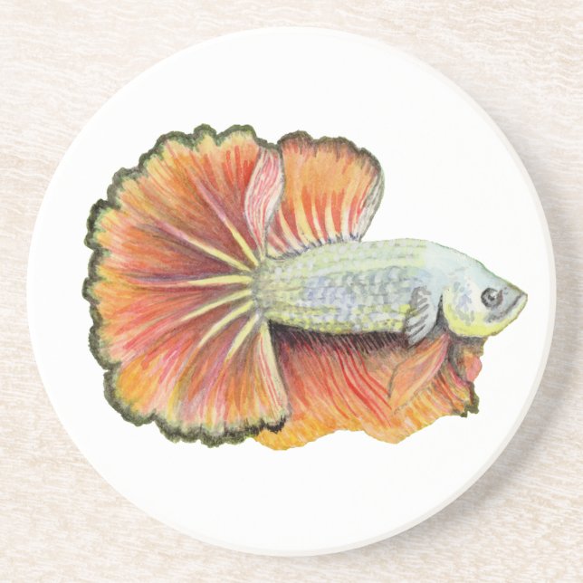 Posavasos Betta Fish (Frente)