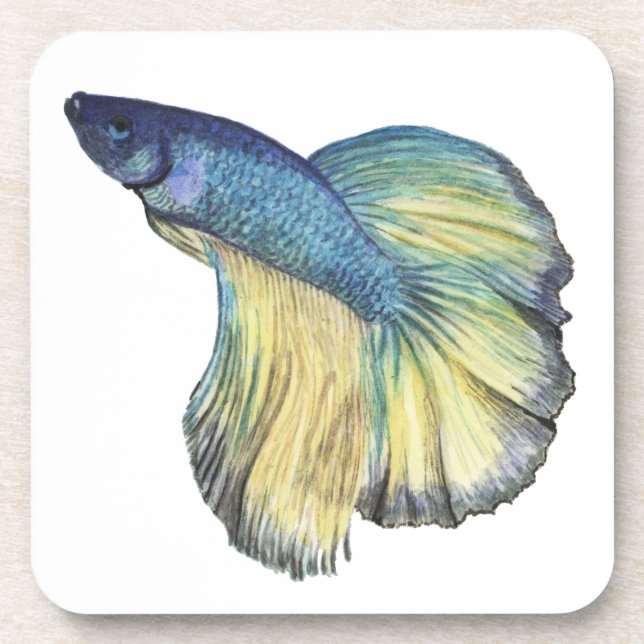 Posavasos Betta Fish (Frente)