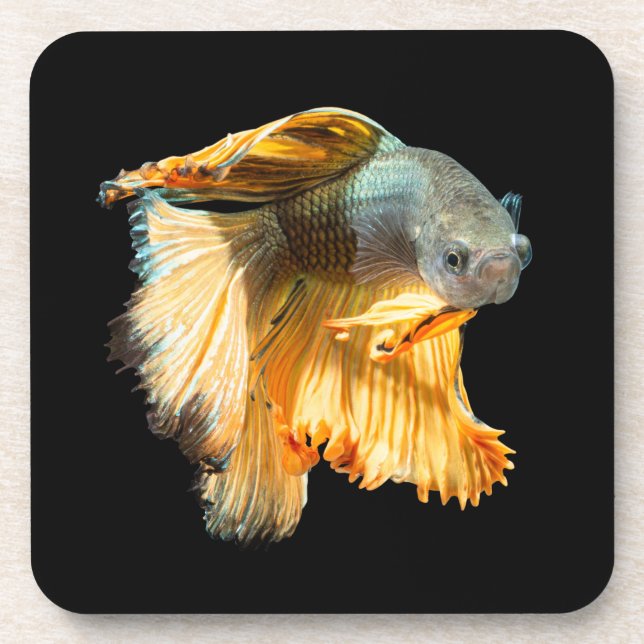 Posavasos Betta Fish de media luna (Frente)