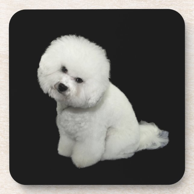 Posavasos Bichon Coaster (Frente)