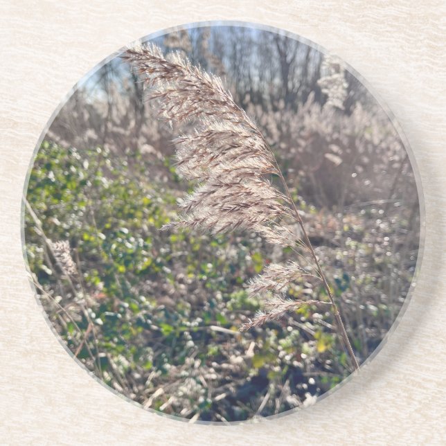 Posavasos Bienvenida de otoño. (Frente)