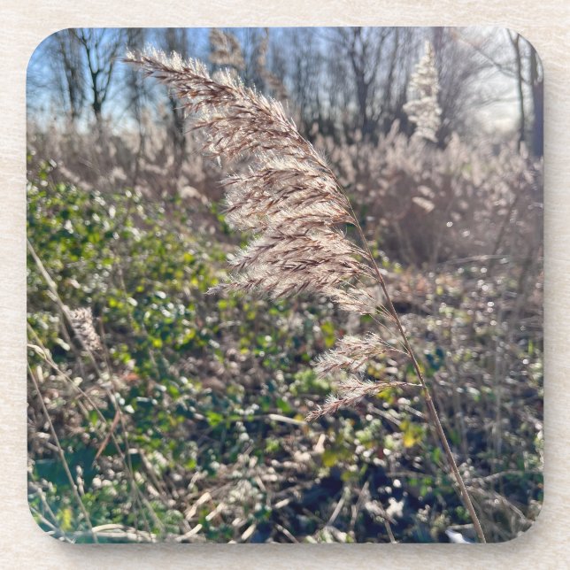 Posavasos Bienvenida de otoño. (Frente)