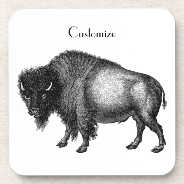 Posavasos Big Bison Buffalo Thunder_Cove (Frente)