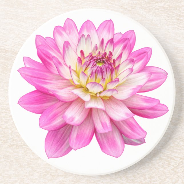 Posavasos Big Pink Dahlia (Frente)