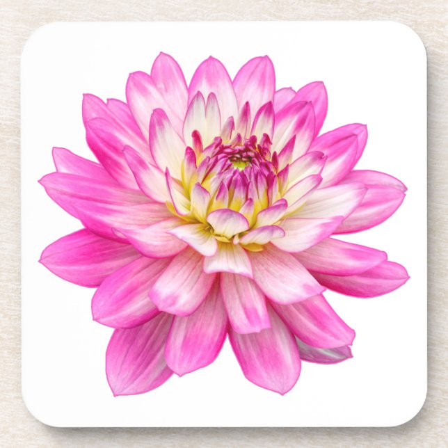 Posavasos Big Pink Dahlia (Frente)