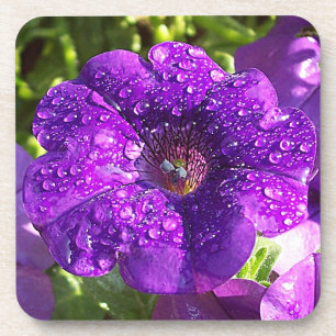 Posavasos Big Wet Purple Petunia Flower Coaster Set (6)