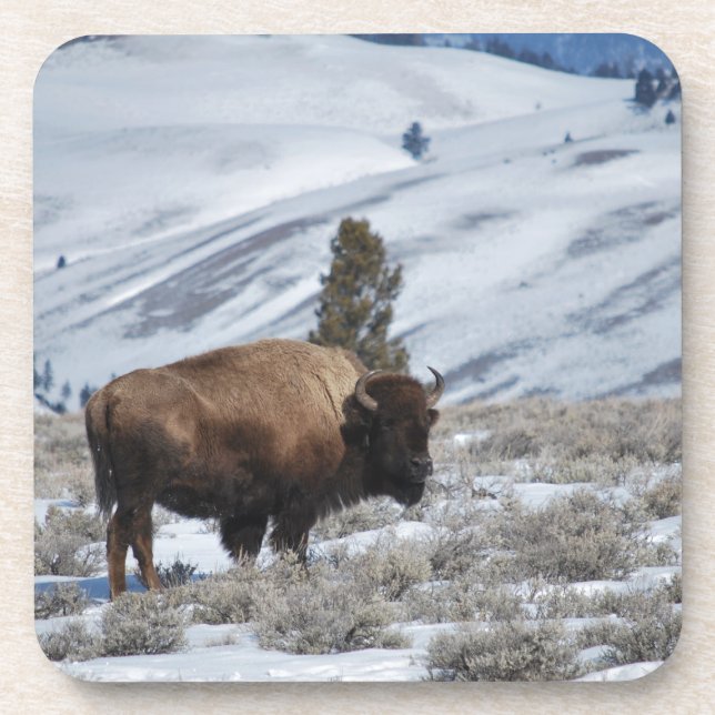 Posavasos Bison in the Winter Mountains of Yellowstone (Frente)