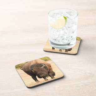 Posavasos Bisonte