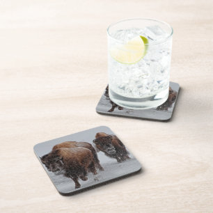 Posavasos Bisonte de Yellowstone