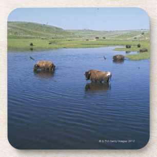 Posavasos Bisonte en el agua con los tragos de acantilado