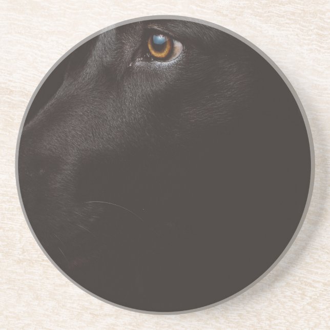 Posavasos black lab (Frente)