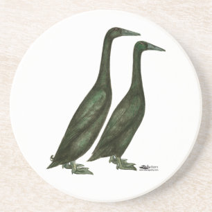 Posavasos Black Runner Ducks