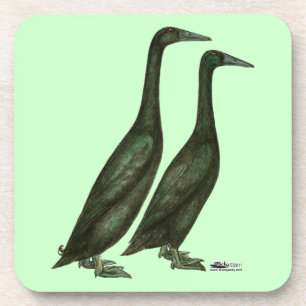 Posavasos Black Runner Ducks