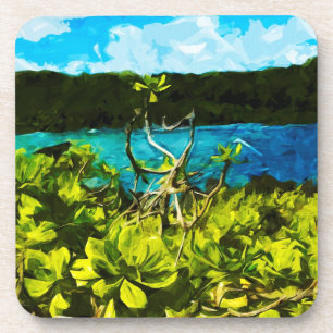 Posavasos Black Sand Beach On the Road to Hana Maui Resumen