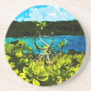 Posavasos Black Sand Beach On the Road to Hana Maui Resumen