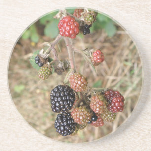 Posavasos Blackberry Bonanza Coasters
