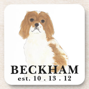 Posavasos Blenheim Cavalier King Charles Spaniel