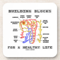 Bloques huecos para un riñón sano Nephron de la