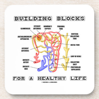 Posavasos Bloques huecos para un riñón sano Nephron de la