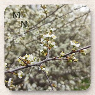 Posavasos Blossom de primavera floral blanco elegante person