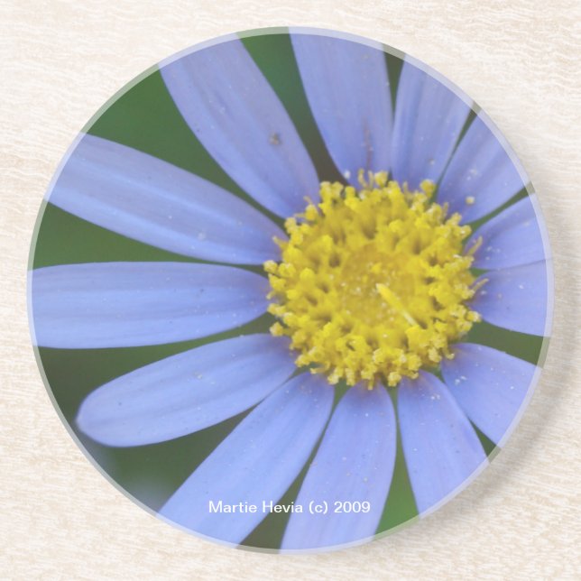 Posavasos Blue Daisy - Pascua (Frente)