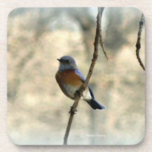 Posavasos Bluebird de los prácticos de costa de la felicida
