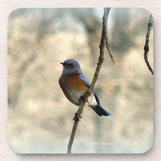 Posavasos Bluebird de los prácticos de costa de la felicidad (Frente)