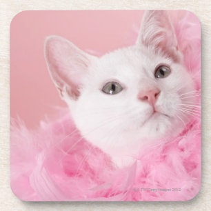 Posavasos Boa de plumas que lleva del gato