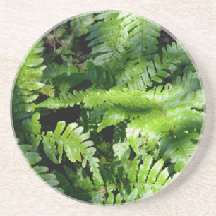 Posavasos Boho botánico de Spring Green Ferns
