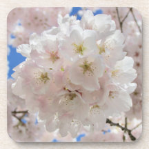 Bolas de flores rosadas.