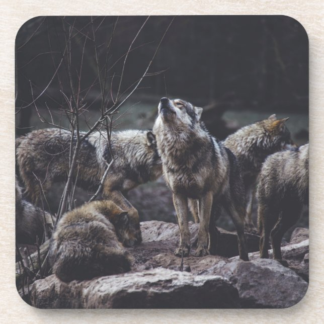 Posavasos Bolsa de bebidas Wolf Pack (Frente)