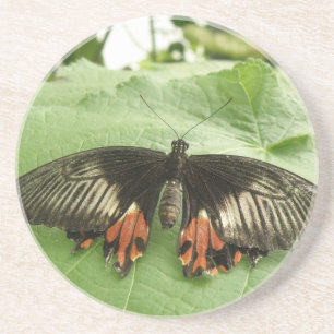 Posavasos Bonito Castillos de mariposa de color rojo y oro