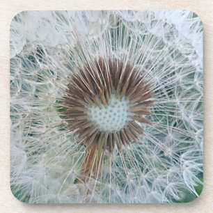Posavasos Bonito Dandelion blanco