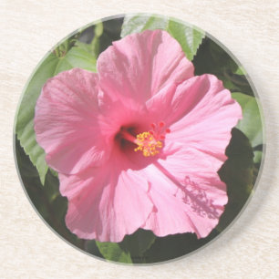 Posavasos Bonito de piedra rosa de las flores