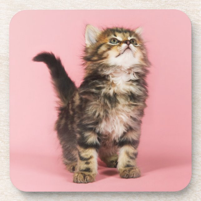 Posavasos Bonito en gatito rosado (Frente)