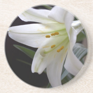 Posavasos Bonito, flor blanca pura de lirio de Pascua en neg